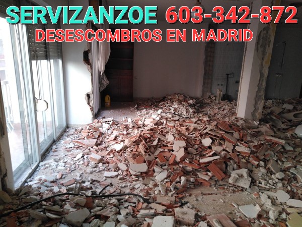 Servicios en Madrid reforma de piso en segovia demolicion de tabiques 1789831